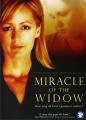  Miracle of the Widow: How Long Do God's Promises Endure 