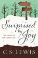  Surprised by Joy: The Shape of My Early Life 