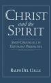  Christ and the Spirit: Spirit-Christology in Trinitarian Perspective 