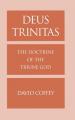  Deus Trinitas: The Doctrine of the Triune God 