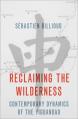  Reclaiming the Wilderness: Contemporary Dynamics of the Yiguandao 