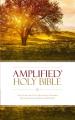  Amplified Bible-Am: Captures the Full Meaning Behind the Original Greek and Hebrew 
