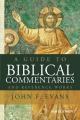  A Guide to Biblical Commentaries and Reference Works 