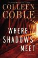  Where Shadows Meet: A Romantic Suspense Novel 