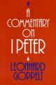  A Commentary on I Peter 