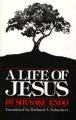  A Life of Jesus 