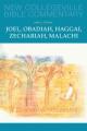  Joel, Obadiah, Haggai, Zechariah, Malachi: Volume 17 Volume 17 