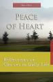  Peace of Heart: Reflections on Choices in Daily Life 