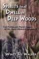  Spirits That Dwell in Deep Woods: The Prayer and Praise Hymns of the Black Religious Experience 