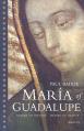 Maria of Guadalupe: Shaper of History, Shaper of Hearts 