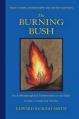  The Burning Bush: Rudolf Steiner, Anthroposophy, and the Holy Scriptures: Terms & Phrases 