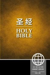  Chinese/English Bilingual Bible-PR-FL/NIV 