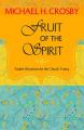  Fruit of the Spirit: Pauline Mysticism for the Church Today 