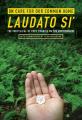  On Care for Our Common Home, Laudato Si': The Encyclical of Pope Francis on the Environment with Commentary by Sean McDonagh 