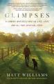  Glimpses: A Comedy Writer's Take on Life, Love, and All That Spiritual Stuff 