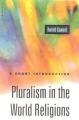  Pluralism in the World Religions: A Short Introduction 