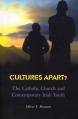  Cultures Apart?: The Catholic Church and Contemporary Irish Youth 