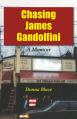  Chasing James Gandolfini: A Memoir 