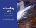  A Healing Eye: Images and Words in a Time of Plague 