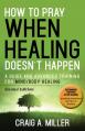  How to Pray When Healing Doesn't Happen: A Guide and Advanced Training for Mind/Body Healing 