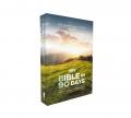  Niv, Bible in 90 Days, Paperback: Cover to Cover in 12 Pages a Day 