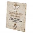  Plaque Confirmation 7 inch 