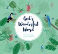  God's Wonderful Word 