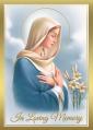  Deceased Mass Card Virgin Mary In Loving Memory 100/box 