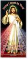  PAMPHLET BROCHURE CHAPLET OF DIVINE MERCY NOVENA 