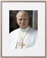  Picture Pope Leo XIV 16 x 20 inch 