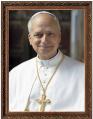  Picture Pope Leo XIV 16 x 20 inch Framed/Plexiglass 