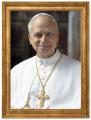  Picture Pope Leo XIV 11 x 14 inch 