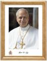  Picture Pope Leo XIV 8 x 10 inch Framed/Glass 