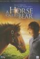  V-Horse Called Bear G 