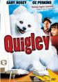  V-Quigley G 