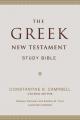  The Greek New Testament Study Bible 