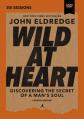  Wild at Heart Video Series Updated Edition: Discovering the Secret of a Man's Soul 