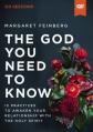  The God You Need to Know Video Study: 12 Practices to Awaken Your Relationship with the Holy Spirit 