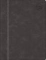  Rooted: The NIV Bible for Men, Leathersoft, Gray, Thumb Indexed, Comfort Print 