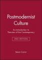  Postmodernist Culture 2e 