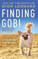  Finding Gobi: A Little Dog with a Very Big Heart 