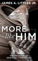  More Like Him: The Process of Spiritual Formation 