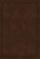  NKJV Study Bible, Imitation Leather, Brown, Red Letter Edition, Indexed, Comfort Print: The Complete Resource for Studying God's Word 