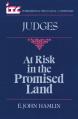  At Risk in the Promised Land: A Commentary on the Book of Judges 