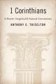  1 Corinthians: A Shorter Exegetical and Pastoral Commentary 