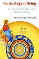 Analogy of Being: Invention of the Antichrist or Wisdom of God? 