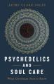  Psychedelics and Soul Care: What Christians Need to Know 