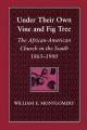  Under Their Own Vine and Fig Tree: The African-American Church in the South 1865-1900 