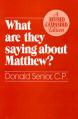  What Are They Saying about Matthew? Revised and Expanded Edition 