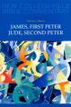  James, First Peter, Jude, Second Peter: Volume 10 Volume 10 